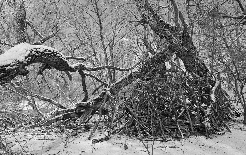 A stick fort in Riverside Park, Milwaukee