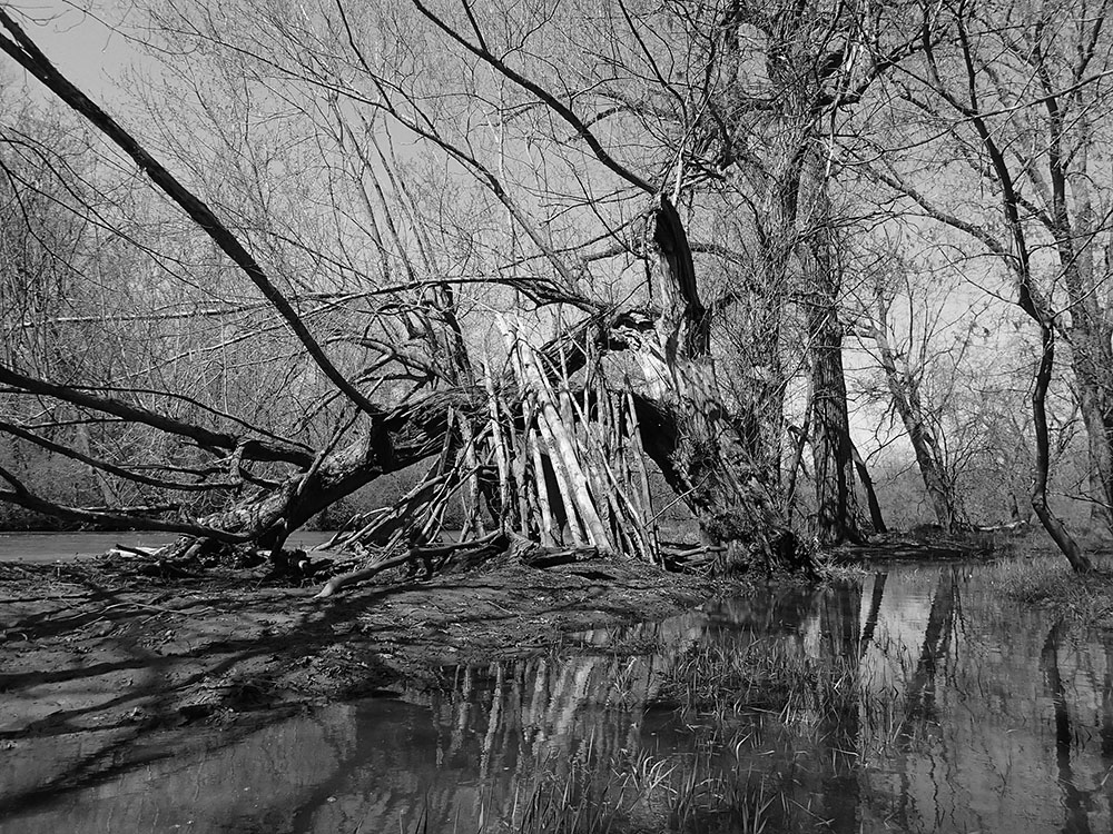 A stick fort along the Root River, Caledonia