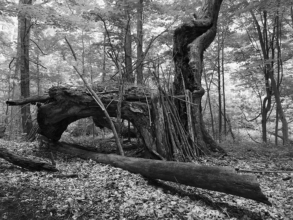 A stick fort at the Southern Vermont Health Center, Bennington VT