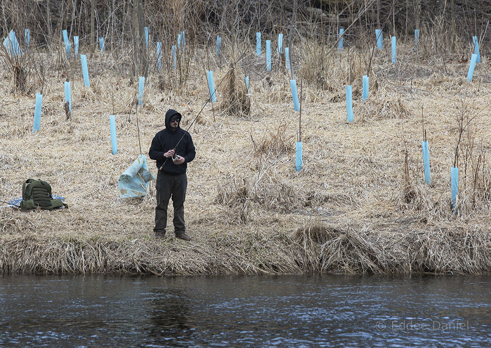 A man fishing in the Rotary Centennial Arboretum, Milwaukee River Greenway