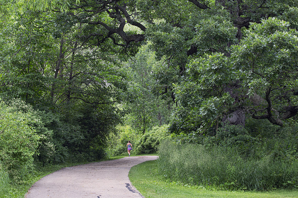 A person running into the woods on a paved path in Fox Brook Park