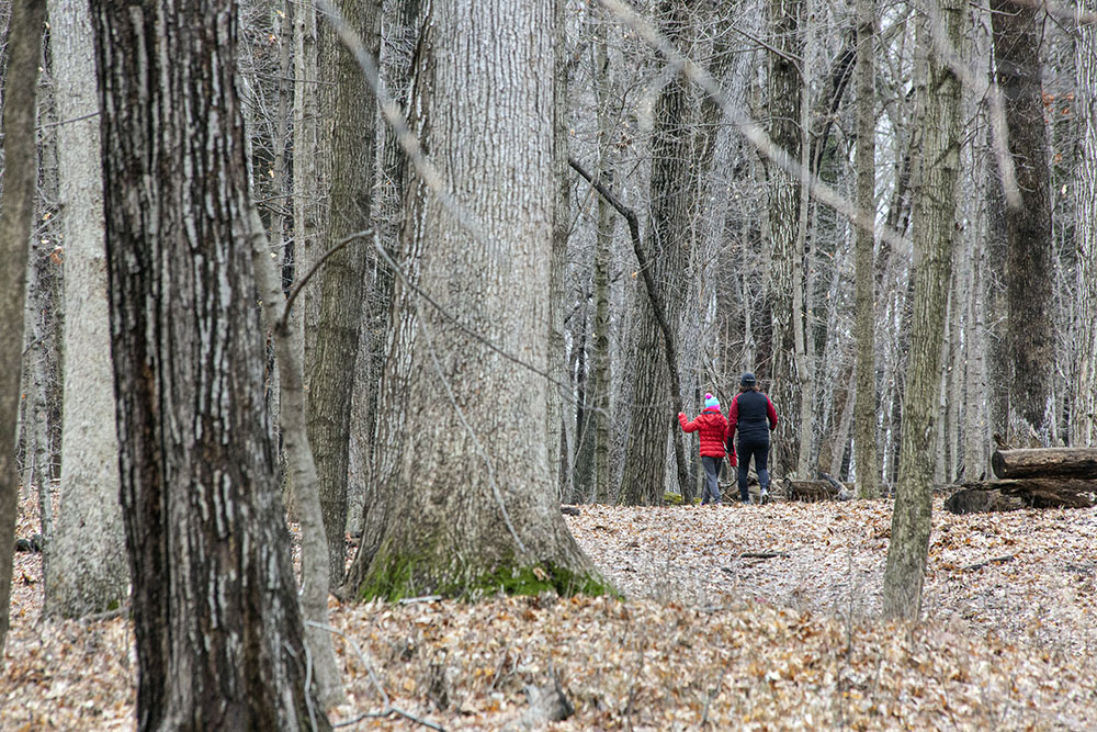 Mother and daughter hiking into a woodland at Greenfield Park