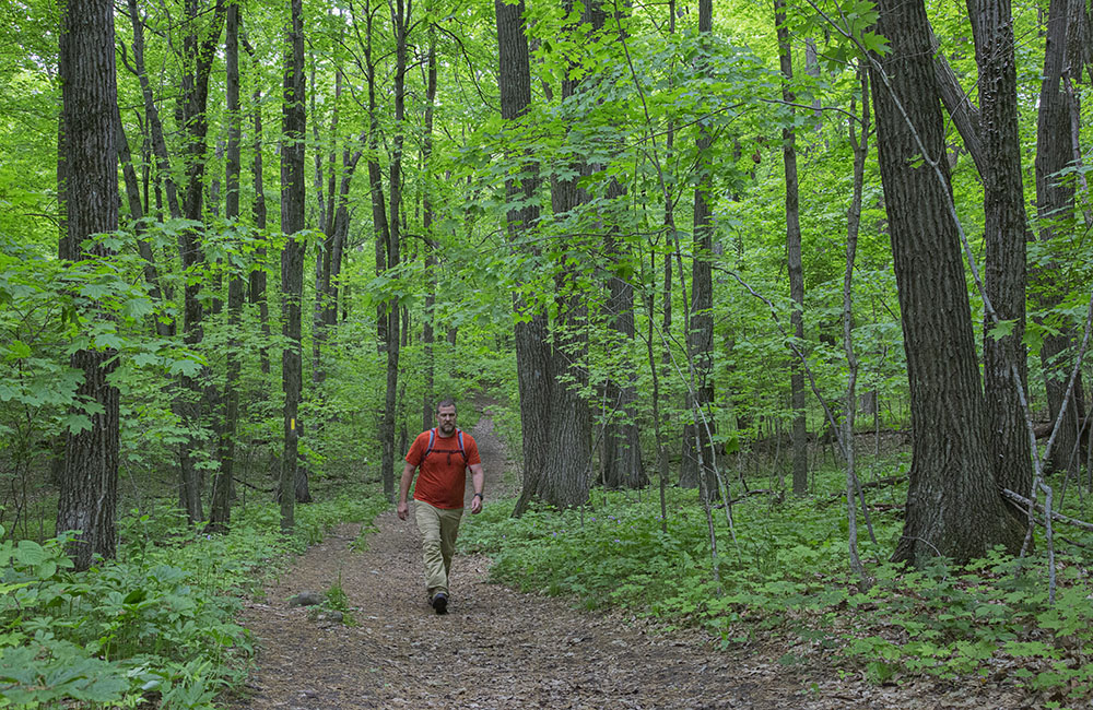 A man hiking in a woodland section of the Ice Age National Scenic Trail