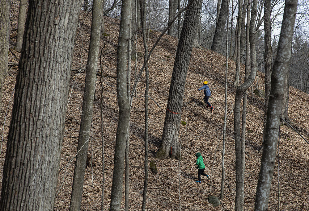 Two boys running up a wooded hill at Holy Hill