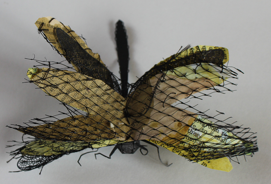 "Specimen #13," handmade butterfly book