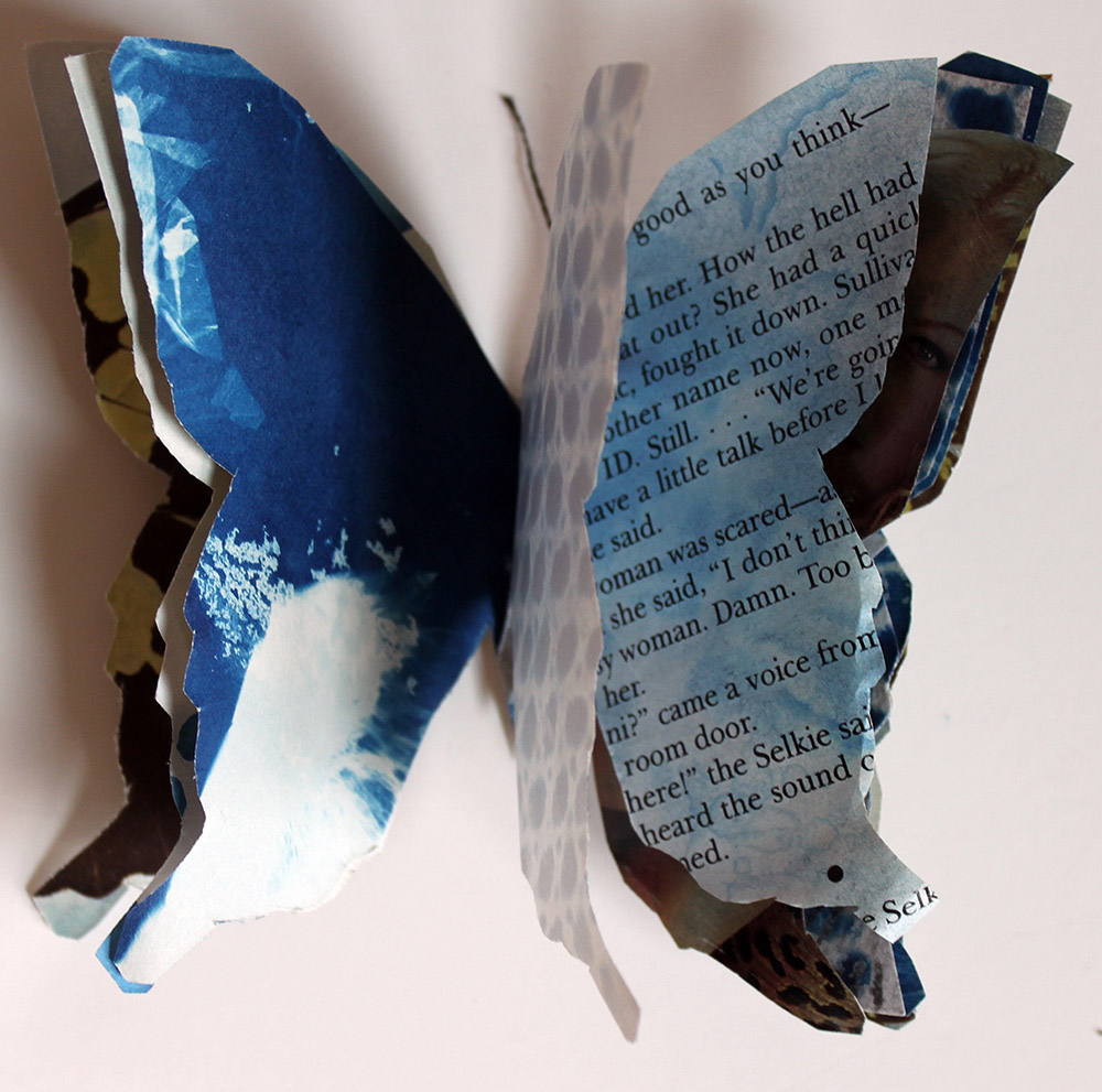 Individual butterfly book