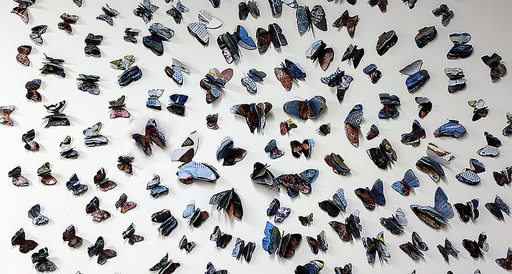 Installation view of butterfly books