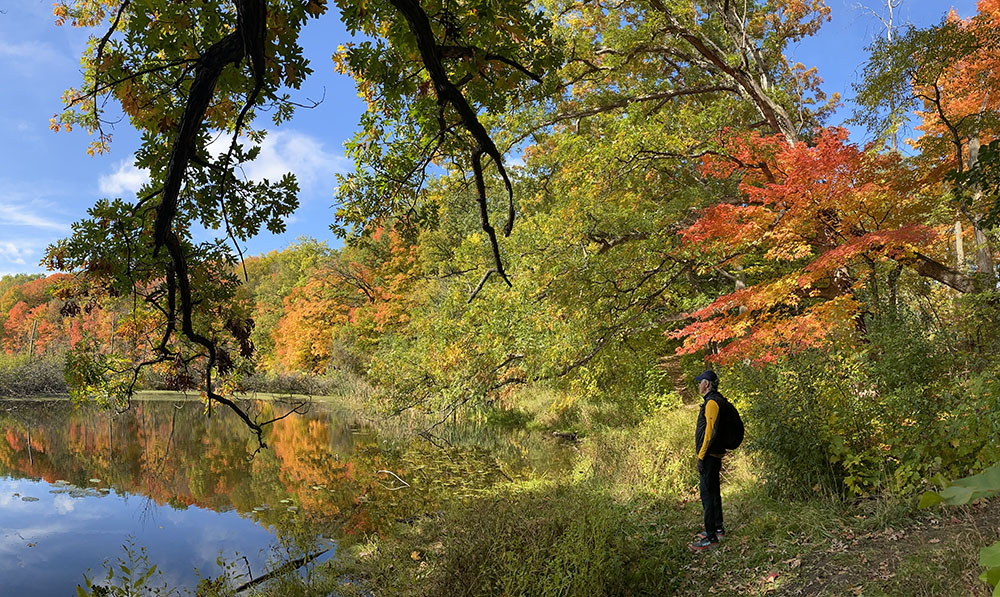 Contemplation. A glacial kettle pond.