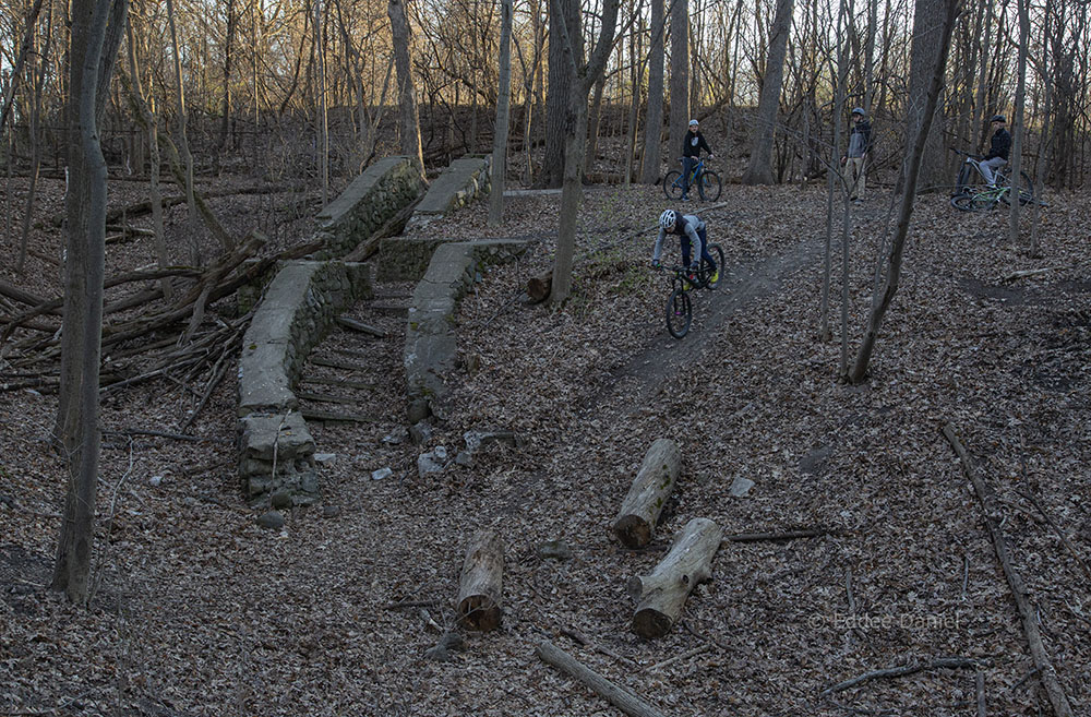 The ravine, Sanctuary Woods, Wauwatosa