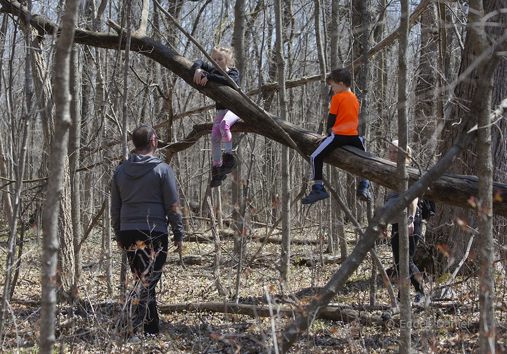 Family tree climbing, Stigler Nature Preserve, New Berlin.