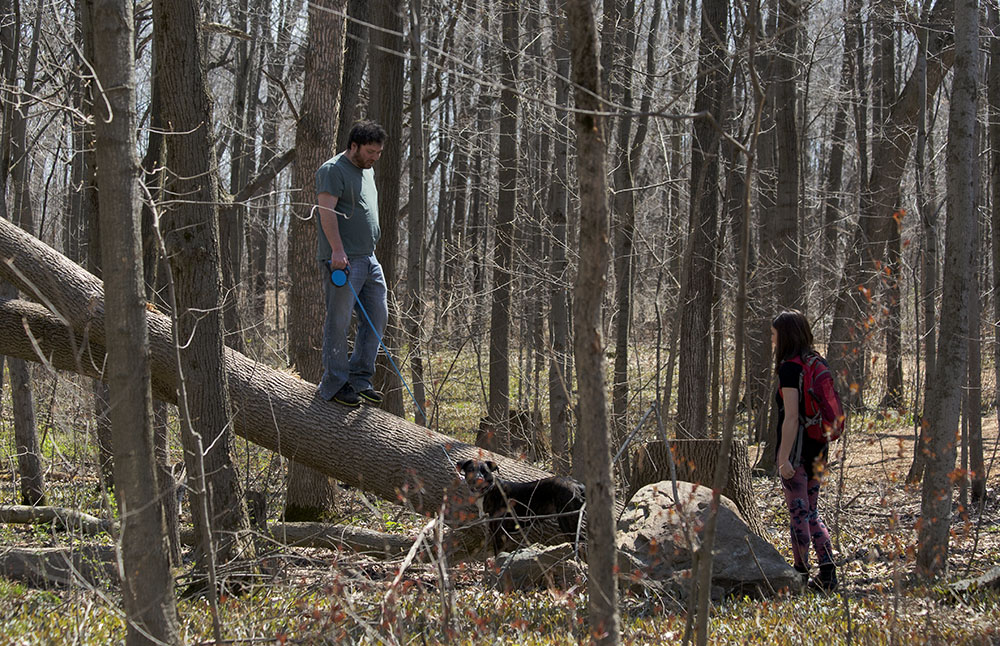 The dog won't climb. Stigler Nature Preserve, New Berlin.