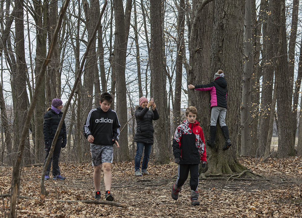 A family of tree-huggers at Mequon Nature Preserve in Mequon.