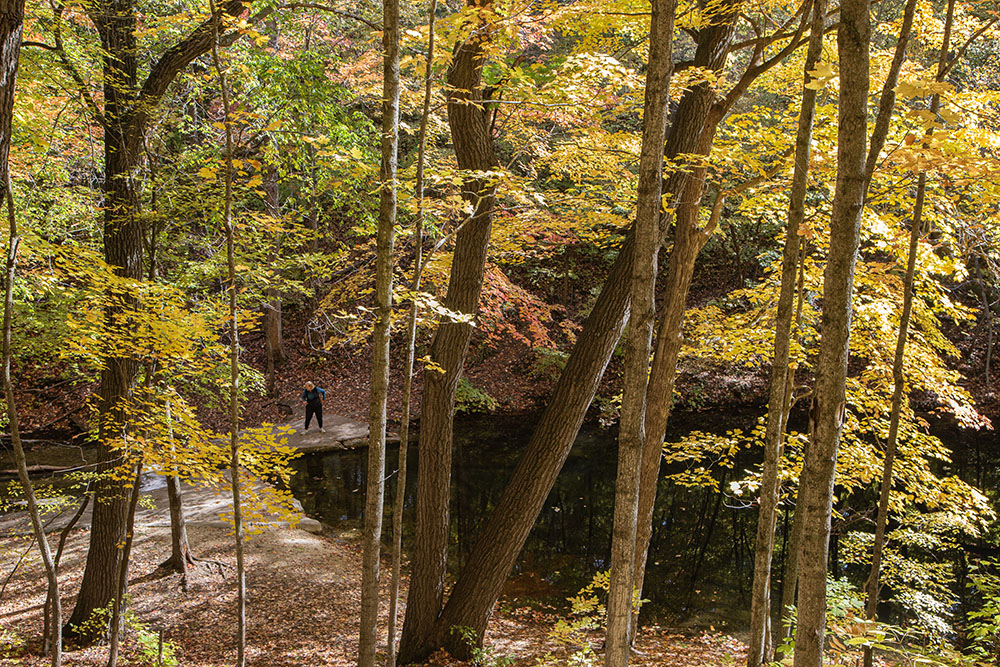 Looking down through the foliage from the ridge top.