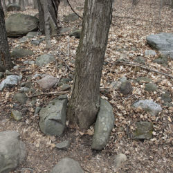 glacial erratics