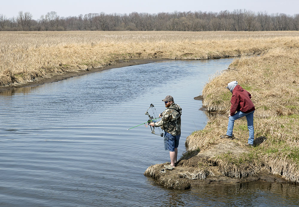 Bow fishing for carp. Theresa Marsh Wildlife Area, Theresa, WI.