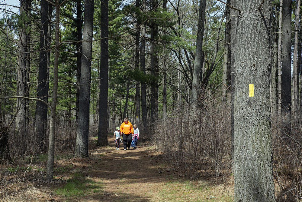 Ice Age Trail, Scuppernong Segment, Eagle