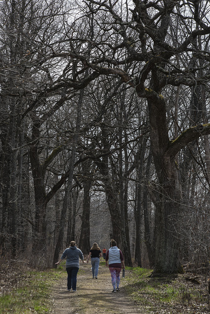 Vernon Marsh Wildlife Area, Mukwonago