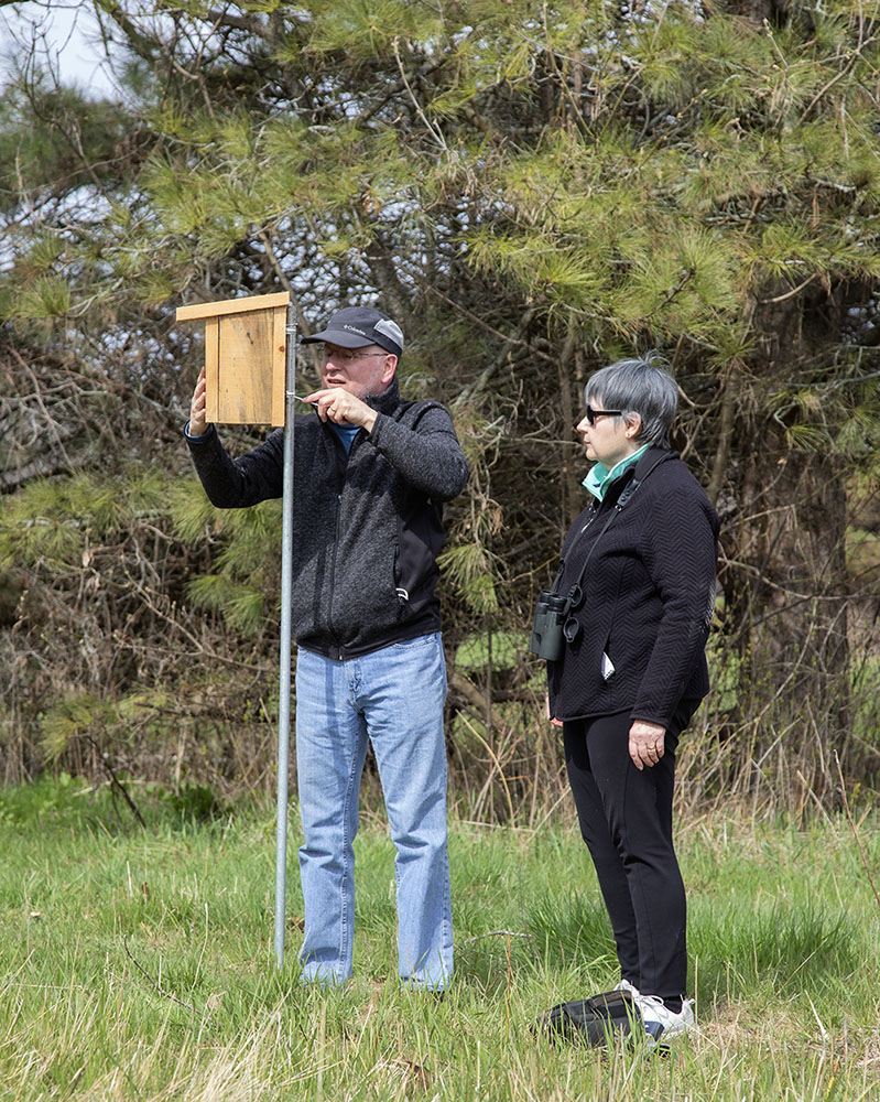 The new Bluebird nesting box.