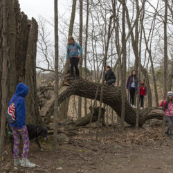 kids playing on log