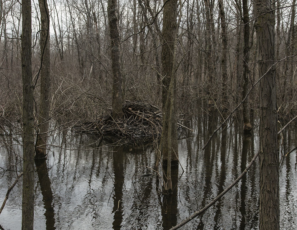 Beaver Lodge, Muskego Park, Waukesha County, WI