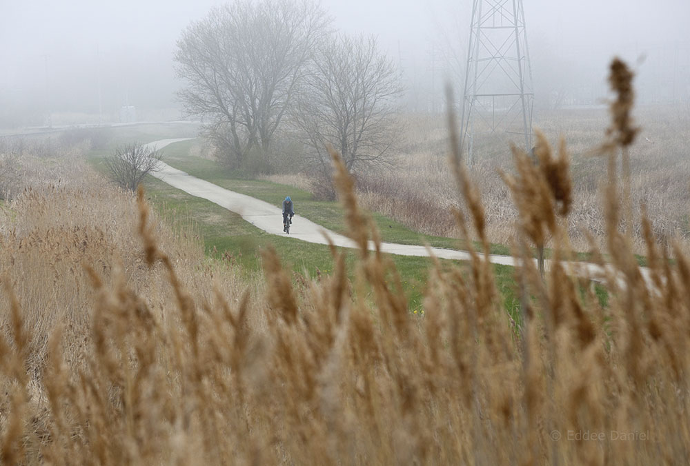 A foggy morning on the Oak Leaf Trail, Oak Creek.