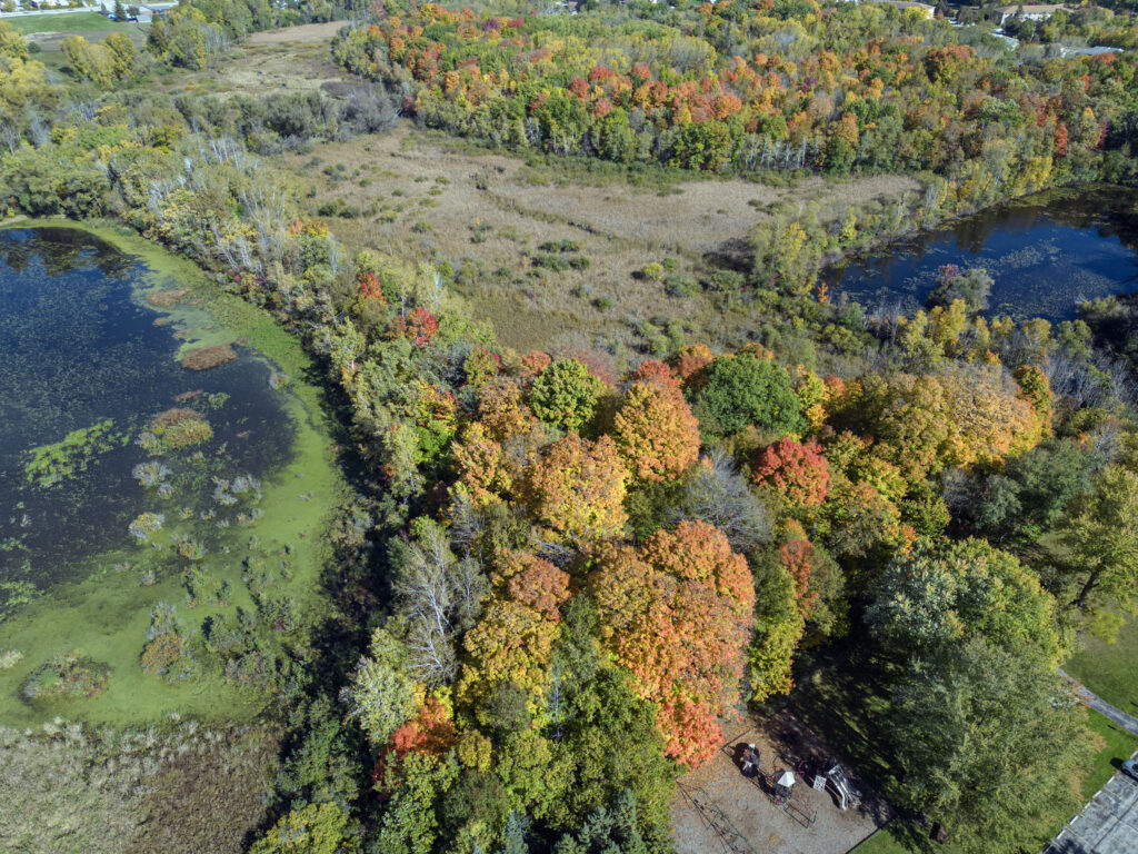 Aerial view showing large wetland areas.