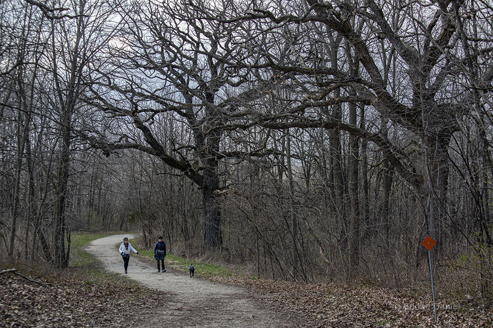 Seven Waters Trail, Saller Woods, Rochester, WI.