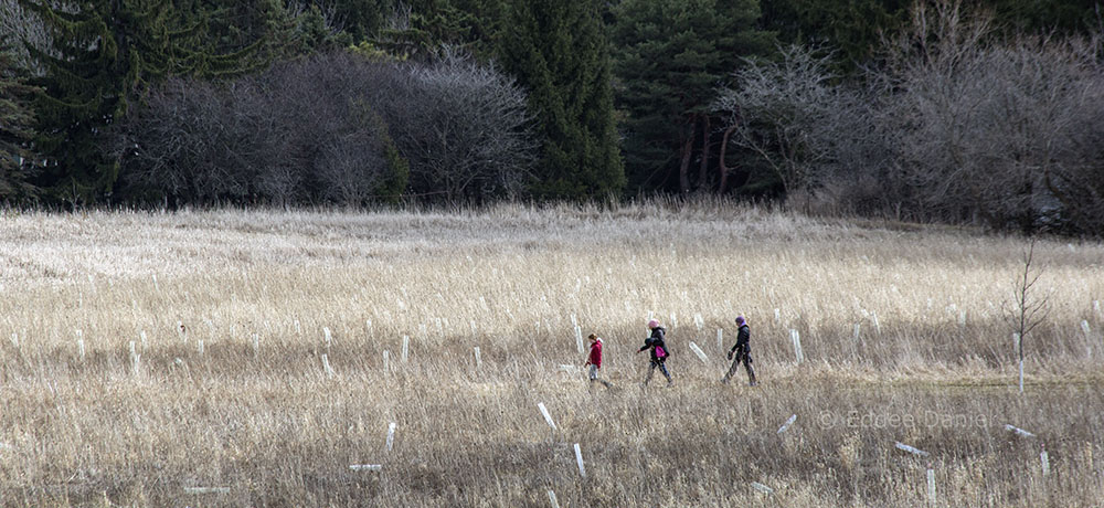 Three hikers in on a prairie trail in Mequon Nature Preserve