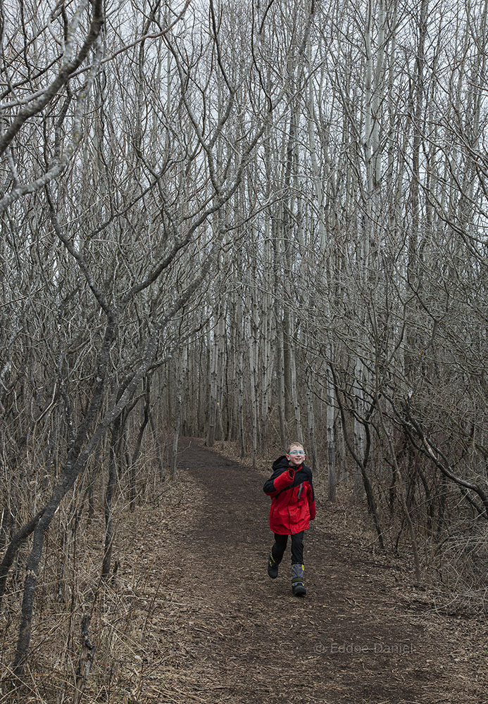 The appeal of wild places lights up the face of a boy at Lion's Den Gorge Nature Preserve in Grafton