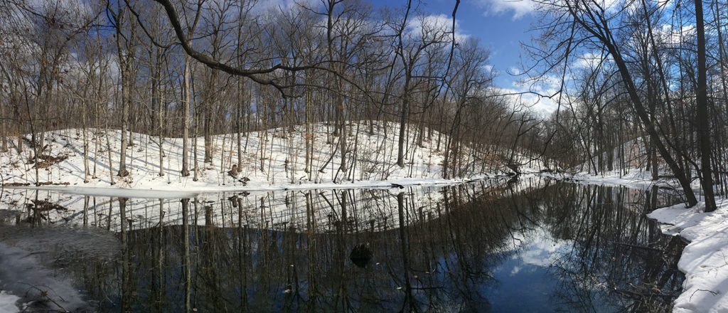 Wells Lake Panorama