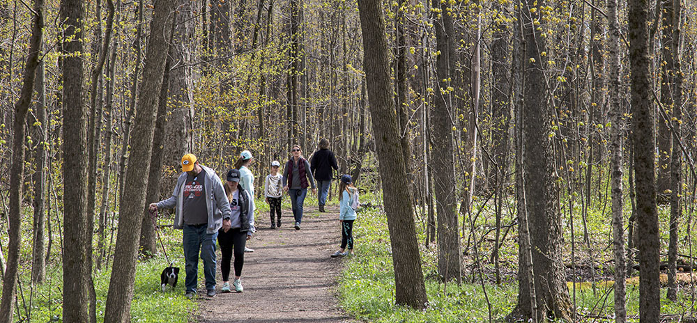 crowded woodland trail