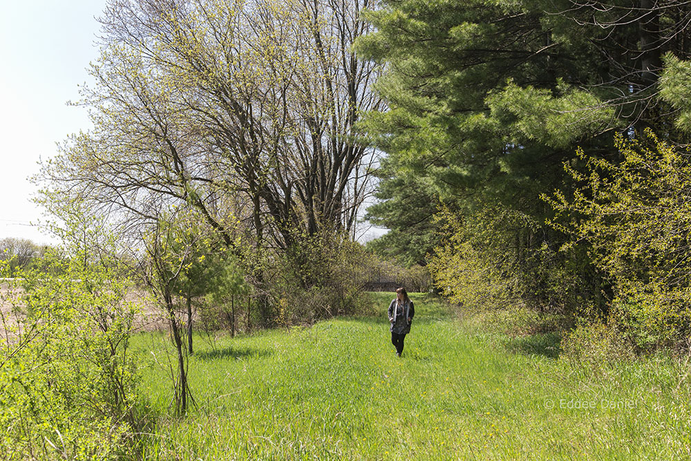 Artist in Residence, Danielle Pahlisch at Shannon Preserve, Saukville