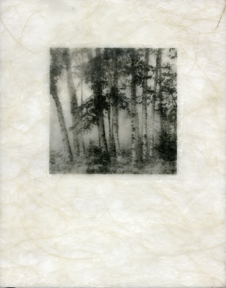 "Birches." Encaustic.