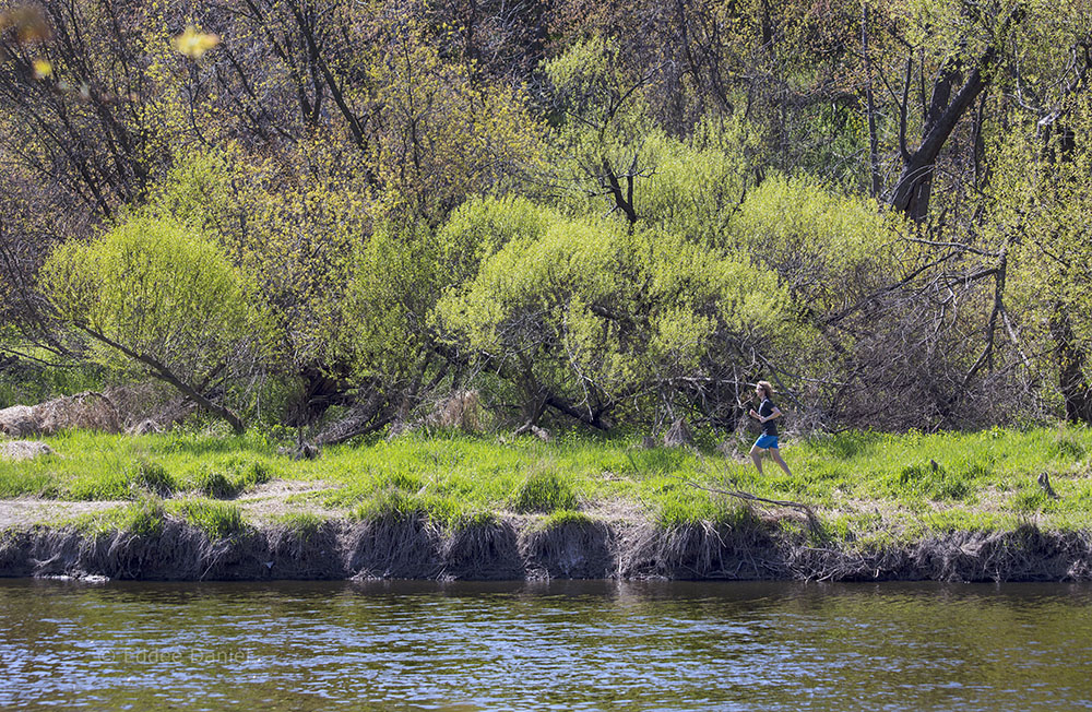 Lone jogger, Gordon Park, Milwaukee River Greenway, Milwaukee