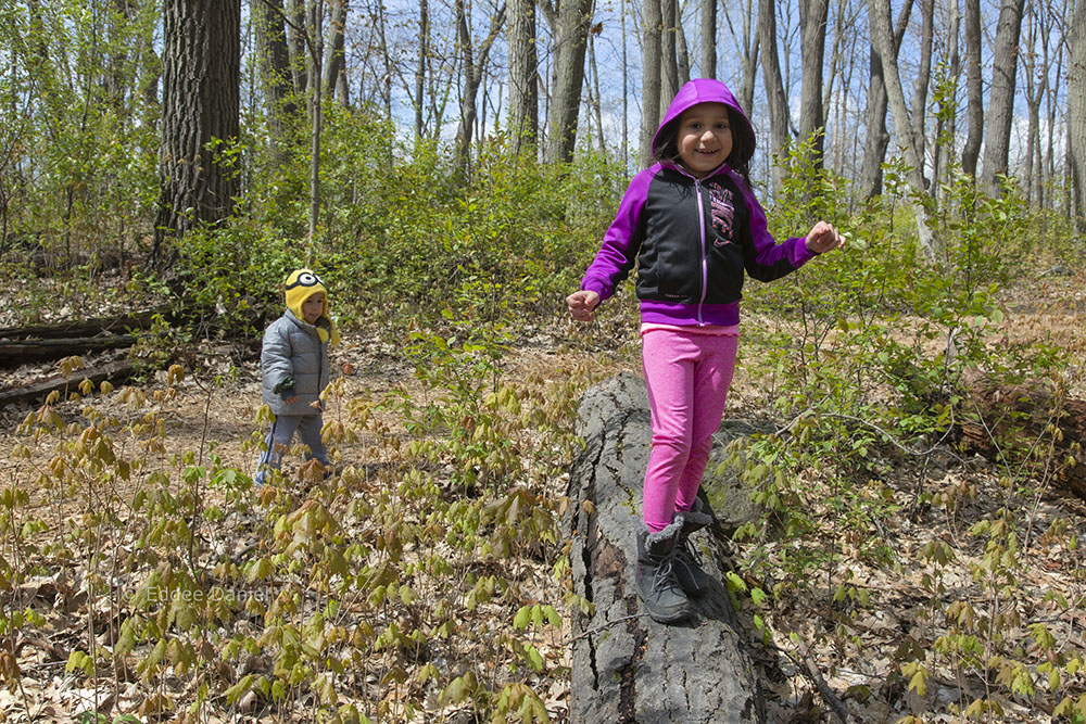 Walking on a log, Mound Zion Park, Brookfield