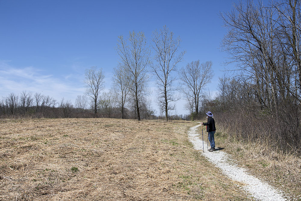 Gravel trail and mowed prairie, Grobschmidt Park