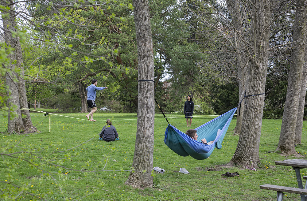 Hammocking and walking the slack line in Hoyt Park, Wauwatosa