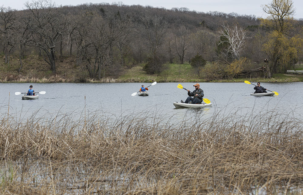 Family of kayaks, Ottawa Lake State Recreation Area