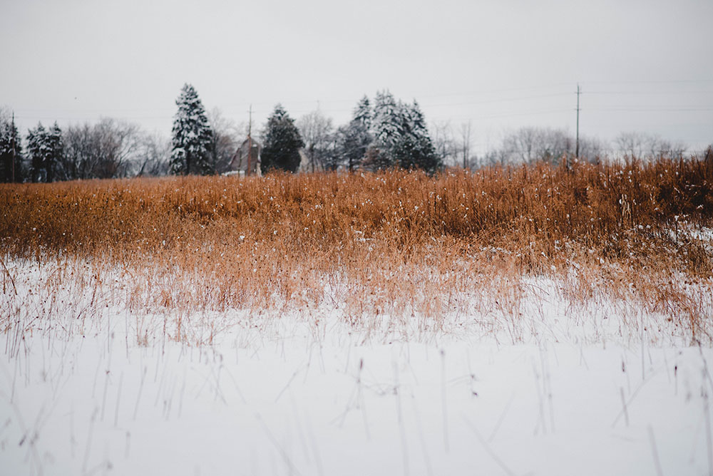 Snow Prairie