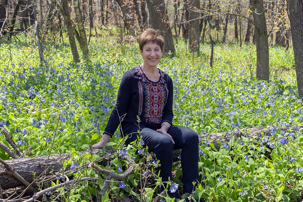 The artist sitting among Bluebells in bloom at Donges Bay Gorge