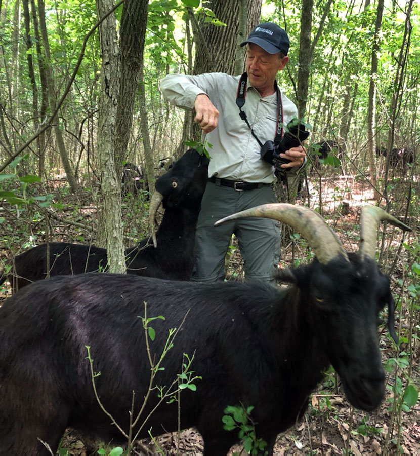 That's me feeding buckthorn leaves to a goat.