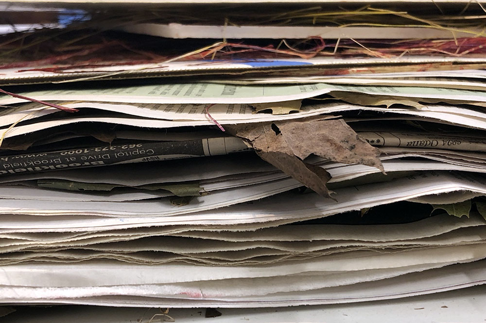 Leaves stacked and drying in studio