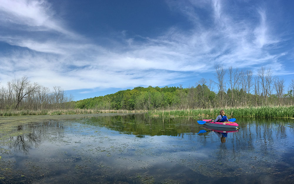 An idyllic moment on the Oconomowoc River. Loew Lake Unit, Kettle Moraine State Forest.