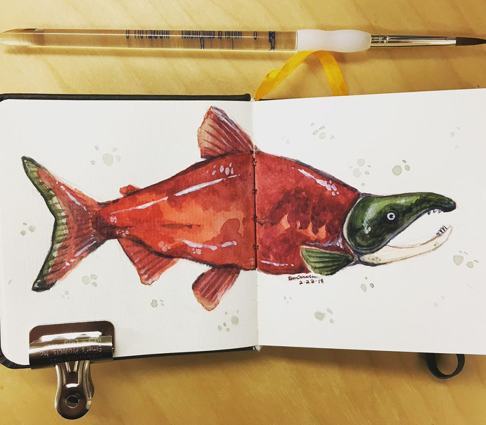 Sketchbook study of a Sockeye Salmon, watercolor