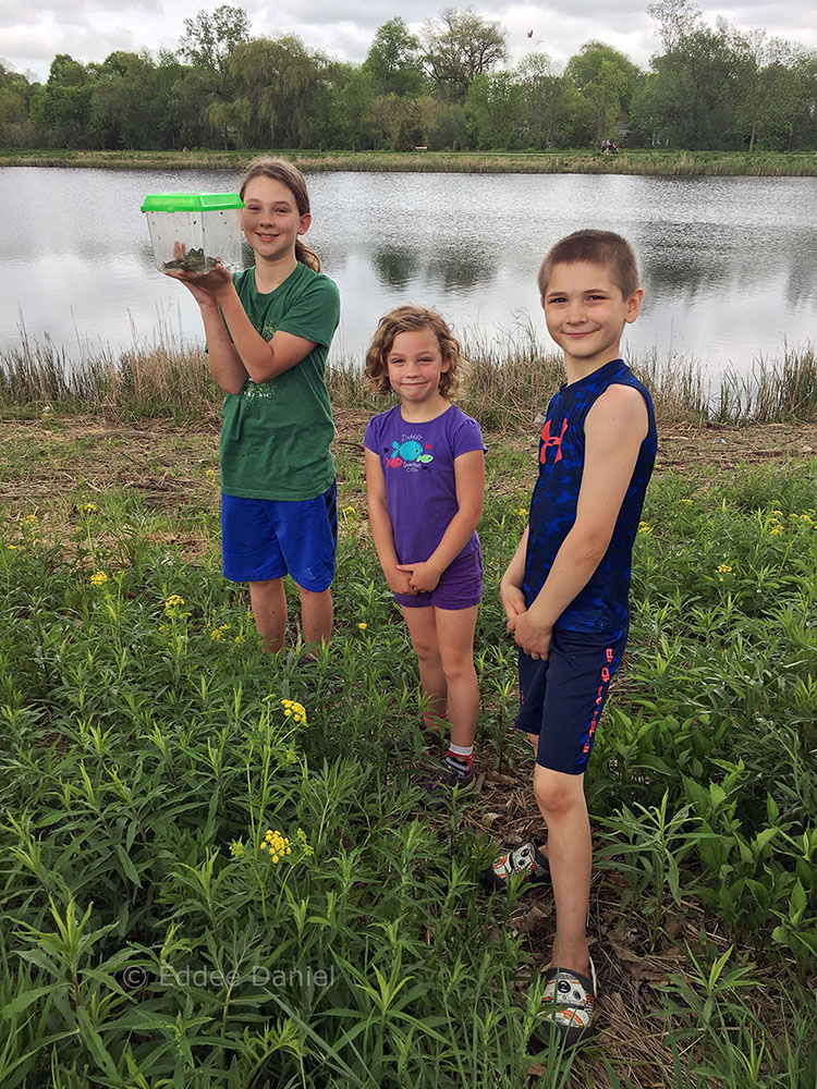 "Look at the enormous frog we caught!"
Tessa, Nora and Kean at Elm Grove Park.