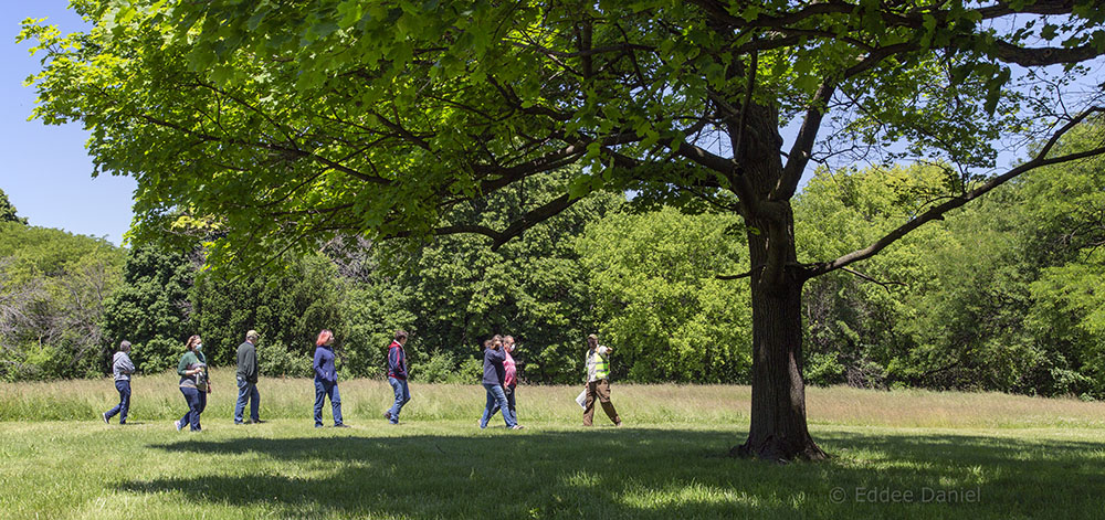 Tour group in Sanctuary Woods