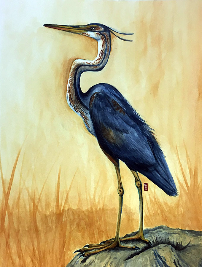 "Great Blue Heron," watercolor, 18"x20"