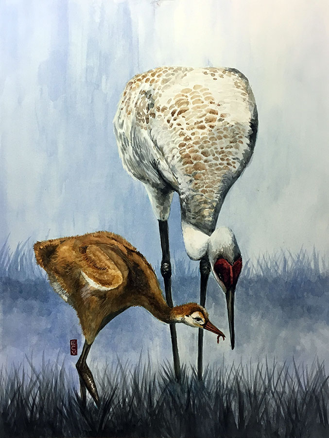 "Sandhill Crane and Colt," watercolor and gouache, 18"x20"