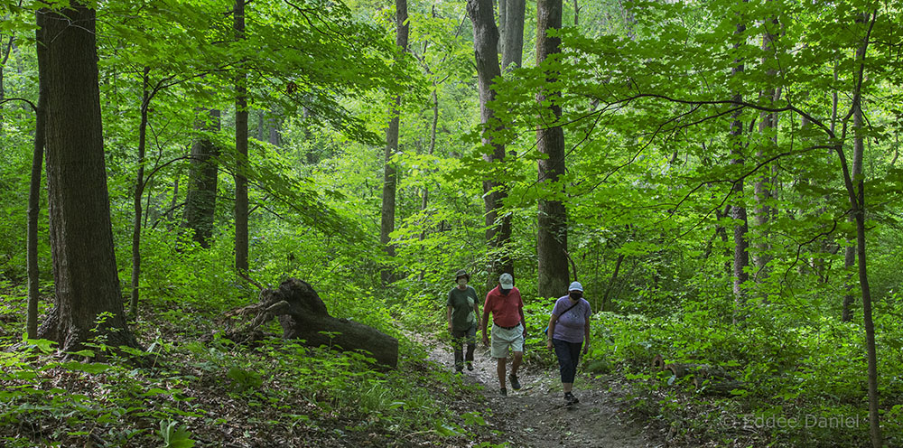 Social distance hiking, Cudahy Nature Preserve, Oak Creek