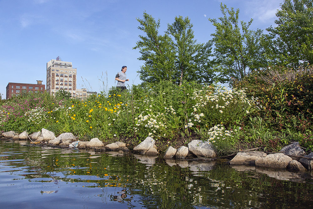 A jogger on the Hank Aaron State Trail at Reed Street Yards.